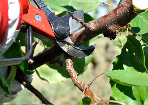 Секатор пневматический LISAM SLY Секатор пневматический LISAM SLY