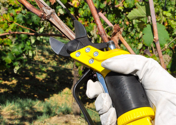 Секатор пневматический LISAM SLY DT Секатор пневматический LISAM SLY DT