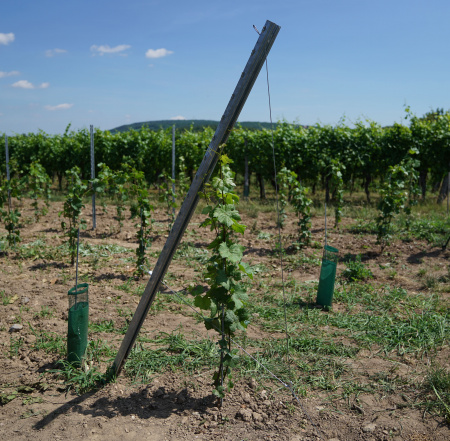 Комплект Gripple GPAK M для виноградника