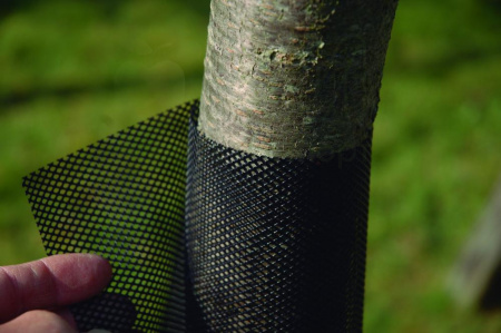 Сетка защитная для саженцев