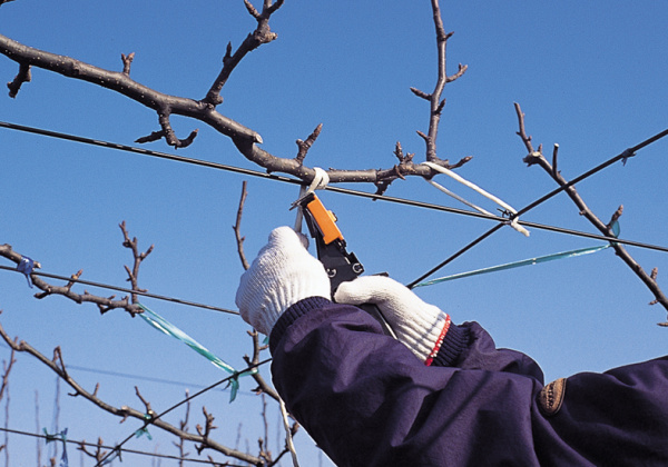 Подвязчик для кембрика MAX HR-F Подвязчик для кембрика MAX HR-F