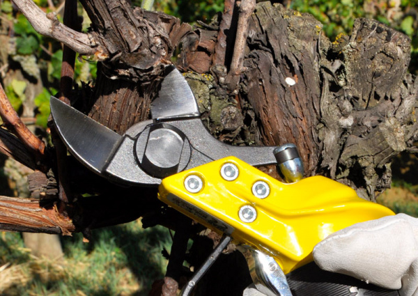 Секатор пневматический LISAM SLY DT Секатор пневматический LISAM SLY DT