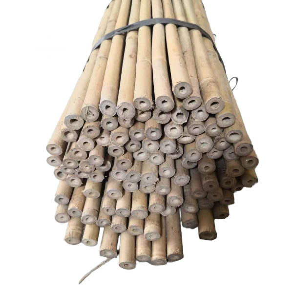 Бамбуковые опоры 22/24 длина 2,95м Бамбуковые опоры 22/24 длина 2,95м