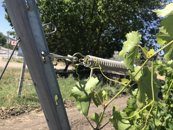 Пружина-компенсатор (оцинк, под замок Gripple, с V креплением для металлического столба) Пружина-компенсатор (оцинк, под замок Gripple, с V креплением для металлического столба)