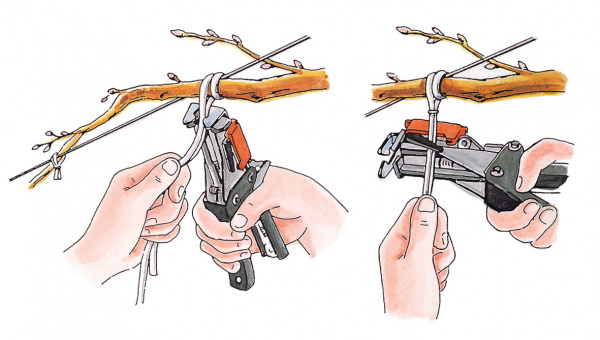 Подвязчик для кембрика MAX HR-F Подвязчик для кембрика MAX HR-F